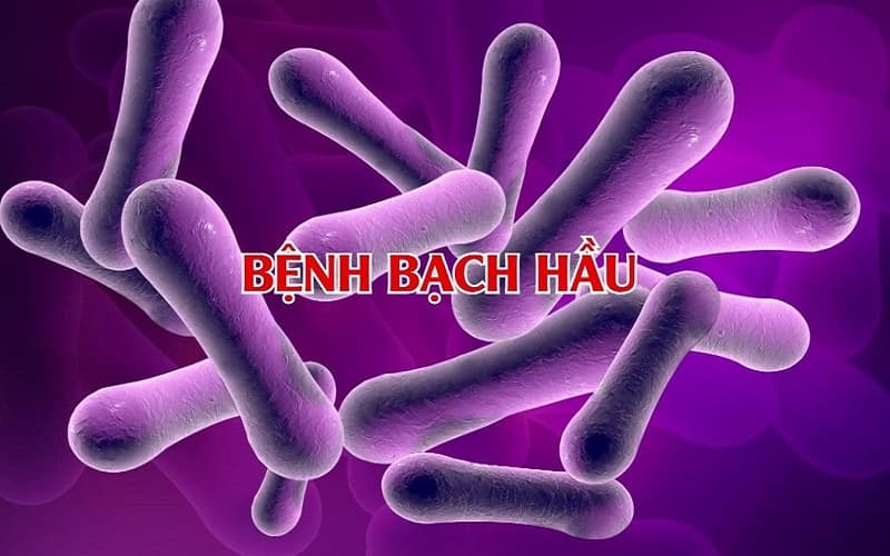 Bên cạnh câu hỏi 