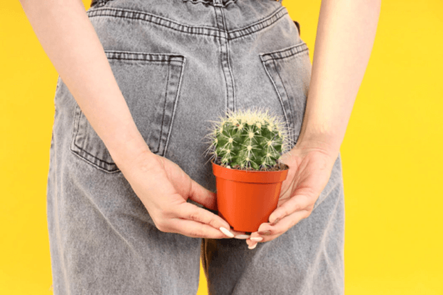 Giải mã: Bệnh trĩ có di truyền hay không?