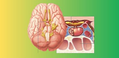 Cách điều trị u tuyến yên phổ biến hiện nay