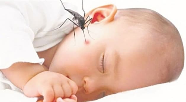 tắm cho trẻ bị sốt xuất huyết