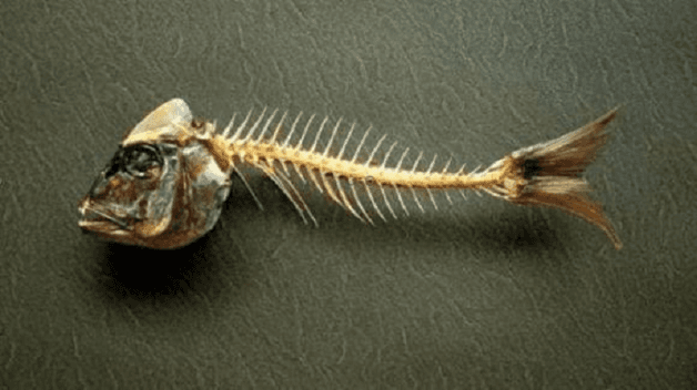 chữa hóc xương cá cho trẻ em