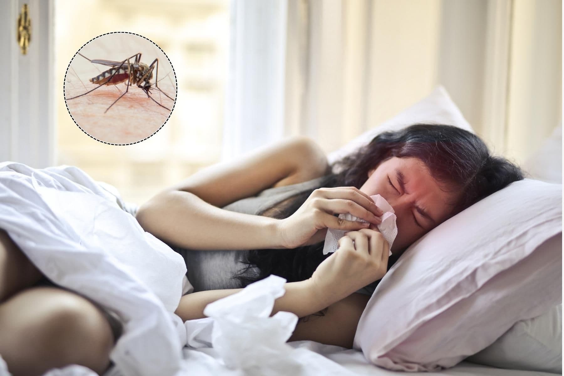 Mẹ bầu nên uống nhiều nước, nghỉ ngơi để giảm các triệu chứng bệnh 