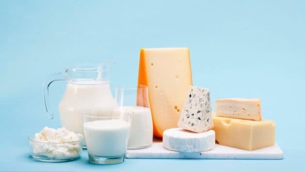 Sữa và các thực phẩm từ sữa