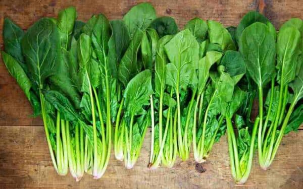 Trào ngược dạ dày nên ăn rau gì