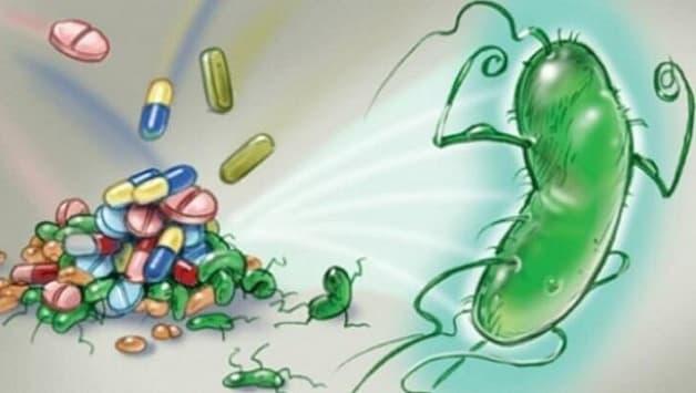 cách trị dạ dày hp 