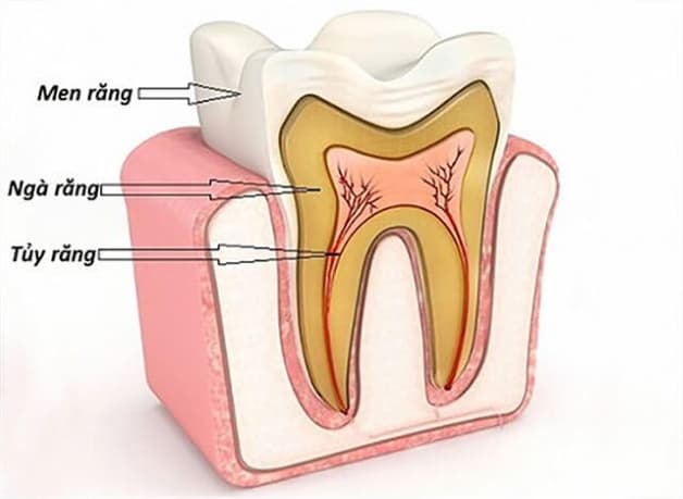 điều trị tủy răng giá bao nhiêu tiền