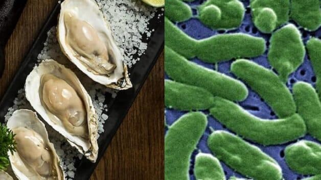 Thực phẩm sống chứa nhiều vi khuẩn gây bệnh trong đó có HP