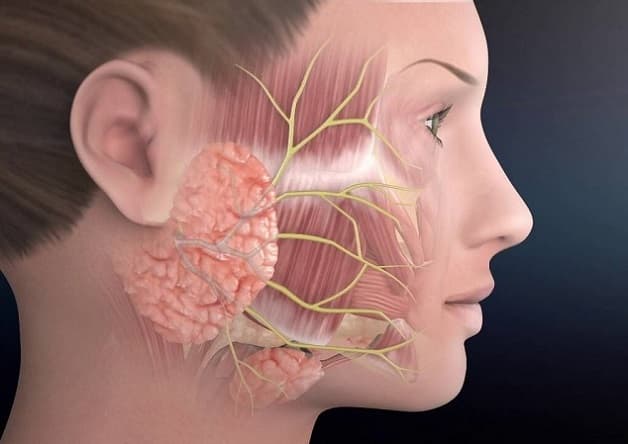 Liệt mặt trung ương là gì?