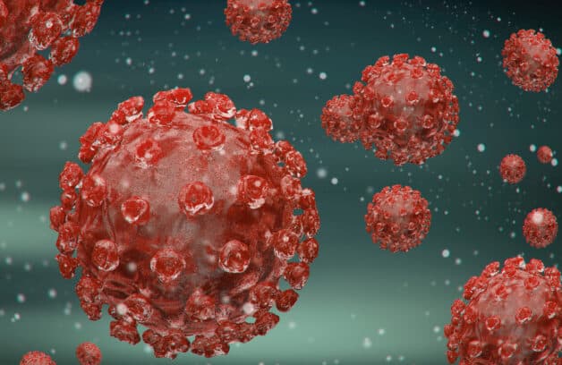 Nguyên nhân tay chân miệng ở trẻ là Enterovirus.