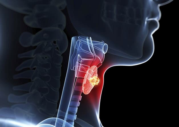 Nhận biết vị trí tuyến giáp để biết cách theo dõi triệu chứng tuyến giáp bất thường