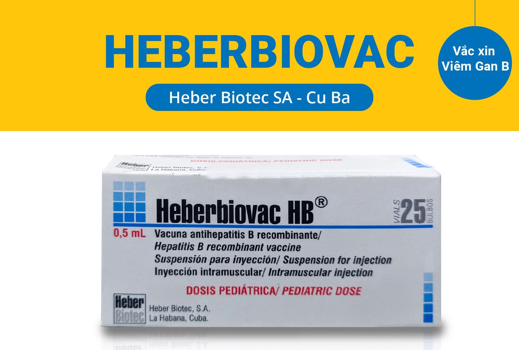 Vaccine Heberbiovac HB là vaccine viêm gan B tái tổ hợp phòng bệnh do virus viêm gan B xâm nhập và gây bệnh