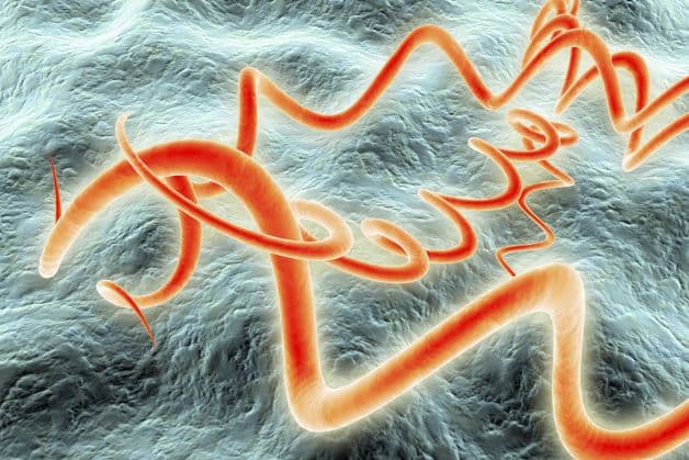 Bệnh giang mai là một trong những bệnh lây truyền qua đường tình dục nguy hiểm và phổ biến