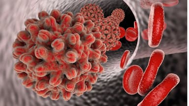 Hiểu rõ về các bệnh đường tình dục: Nguyên nhân, cách phòng