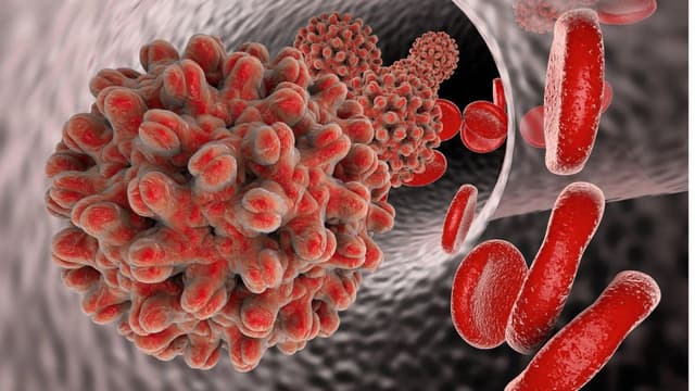 Hiểu rõ về các bệnh đường tình dục: Nguyên nhân, cách phòng