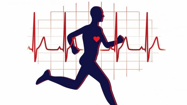 Cách đo điện tâm đồ đúng và những lưu ý khi đo