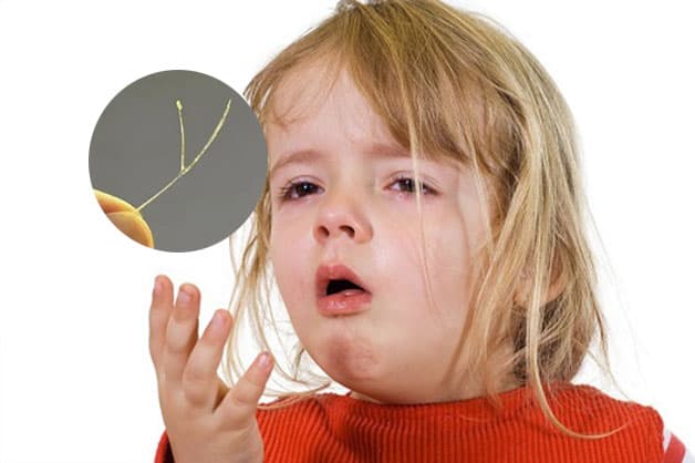 cách gỡ xương cá mắc cổ nhanh chóng