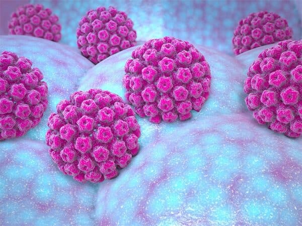 HPV gây ra những bệnh lý nghiêm trọng, trong đó có ung thư cổ tử cung.