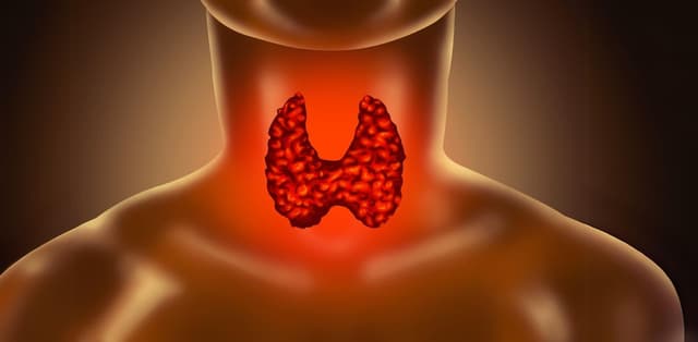 Tìm hiểu về eo tuyến giáp