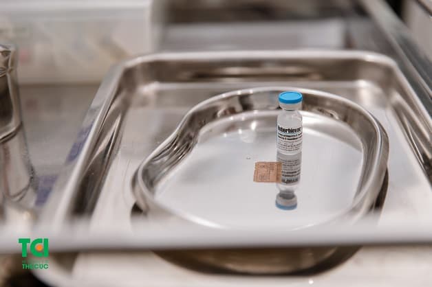 liều tiêm vắc xin viêm gan B