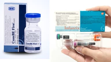 So sánh 5in1 và 6in1: Phòng ngừa bệnh, lịch tiêm, tác dụng phụ