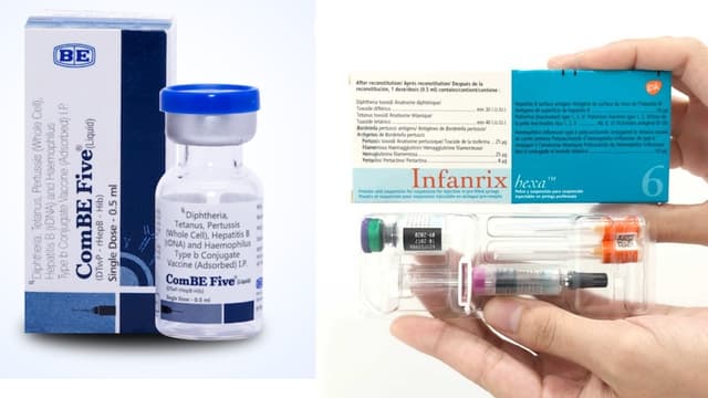 So sánh 5in1 và 6in1: Phòng ngừa bệnh, lịch tiêm, tác dụng phụ