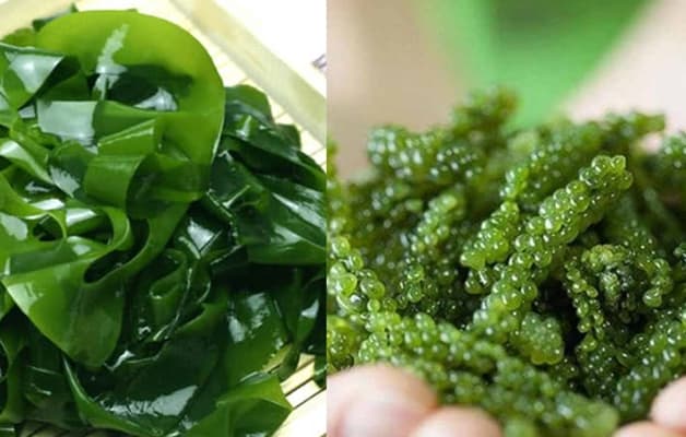 Người bệnh u tuyến giáp ăn gì tốt - rong biển.