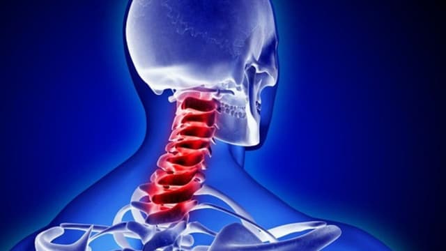 Đặc điểm và bệnh lý ở 7 đốt sống cổ