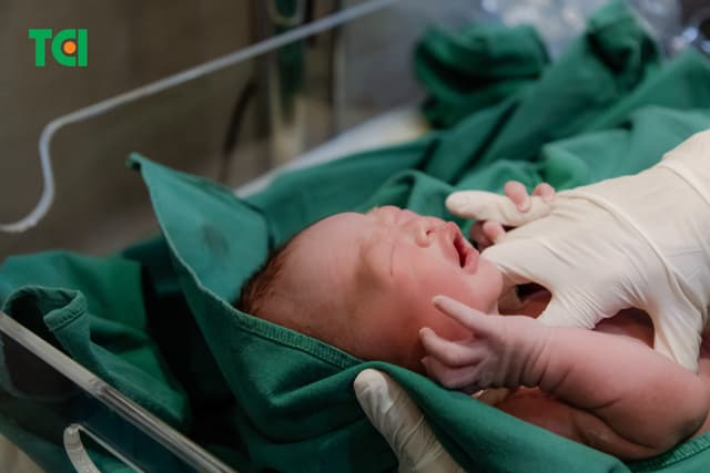 Ảnh Tiktoker triệu follower Đào Nguyễn Ánh trải nghiệm cùng vợ bầu tại TCI