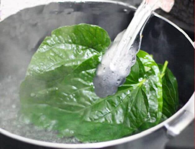 Chữa bệnh trĩ bằng lá lốt