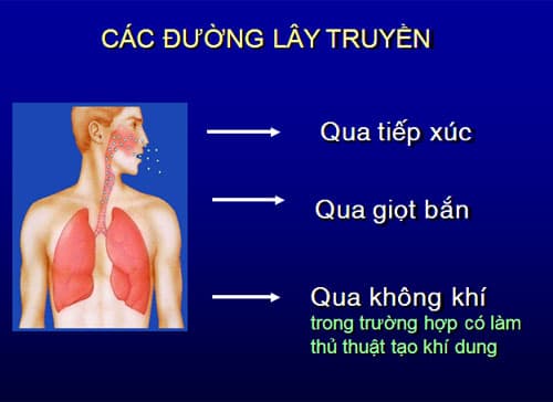 nguyên nhân gây bệnh lao phổi từ đường lây