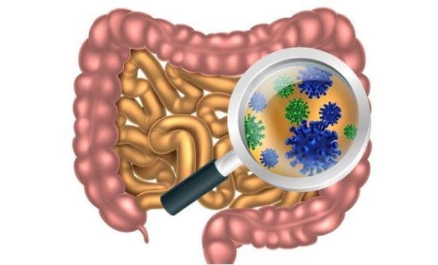 Vi khuẩn là tác nhân chính gây nhiễm khuẩn đường ruột ở trẻ