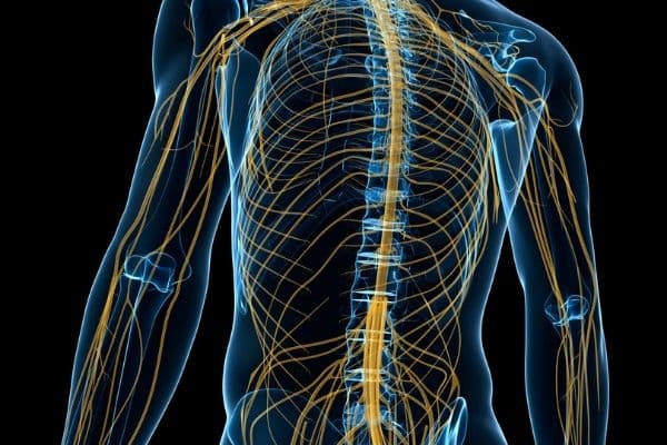 Phương pháp chẩn đoán thần kinh ngoại biên