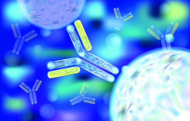 Bệnh viêm tuyến giáp mạn tính Hashimoto xuất phát từ sự nhầm lẫn của cơ chế miễn dịch kháng nguyên – kháng thể.