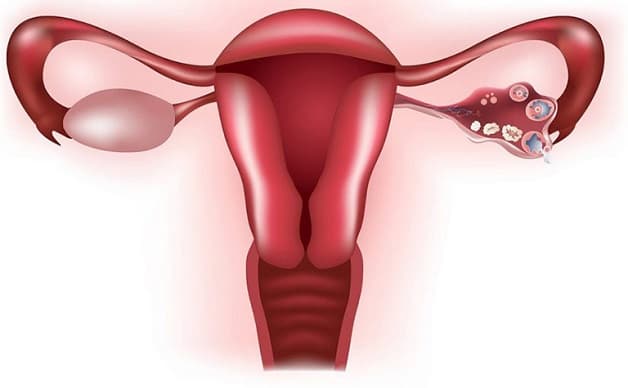 Mắc các bệnh phụ khoa có thể làm cho chị em giảm ham muốn tình dục