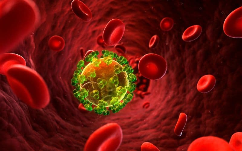 mặc dù y học hiện đại có thể giúp người nhiễm sống lâu và khỏe mạnh, nhưng không thể chữa khỏi hoàn toàn