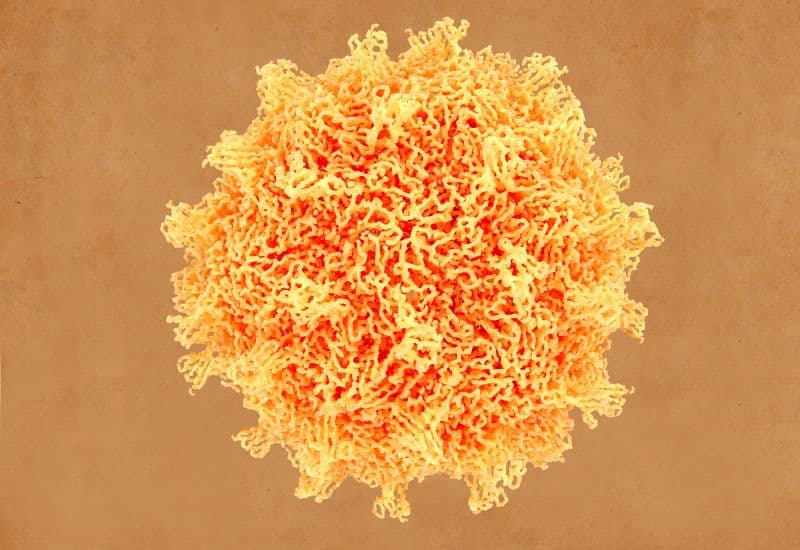 Tay chân miệng là bệnh truyền nhiễm cấp tính do các virus thuộc họ Enterovirus gây ra.