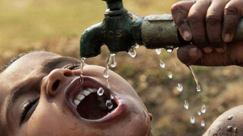 Mức độ nguy hiểm của sán lá gan