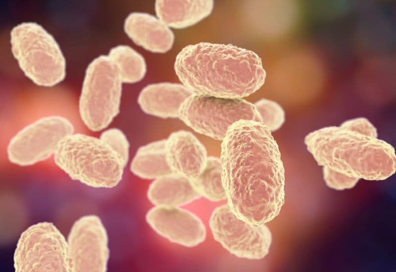 Vi khuẩn và virus là tác nhân phổ biến gây viêm hô hấp trên ở trẻ