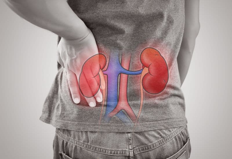 Theo nghiên cứu, người bệnh suy giảm chức năng thận có nguy cơ ù tai cao gấp 3 lần so với bình thường.