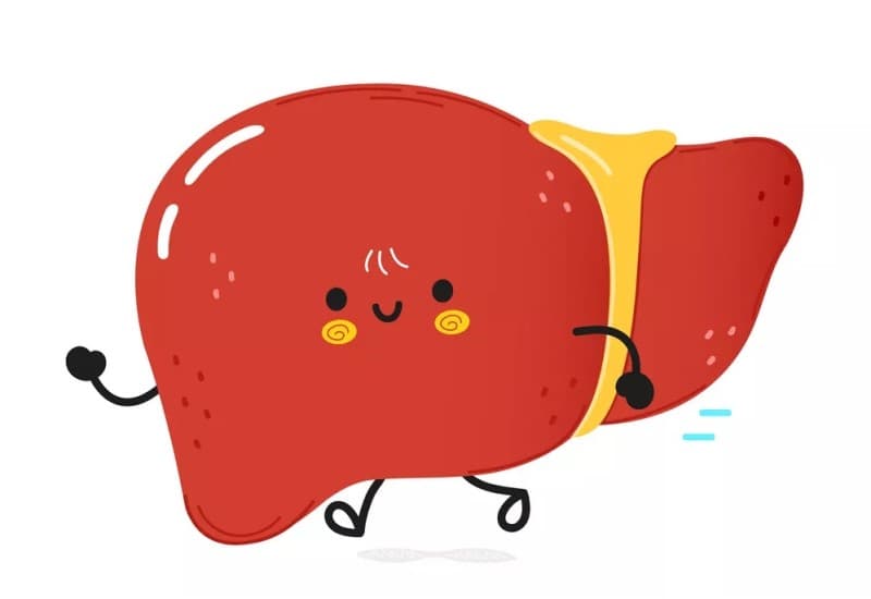 Tác dụng của chạy bộ đối với chức năng gan