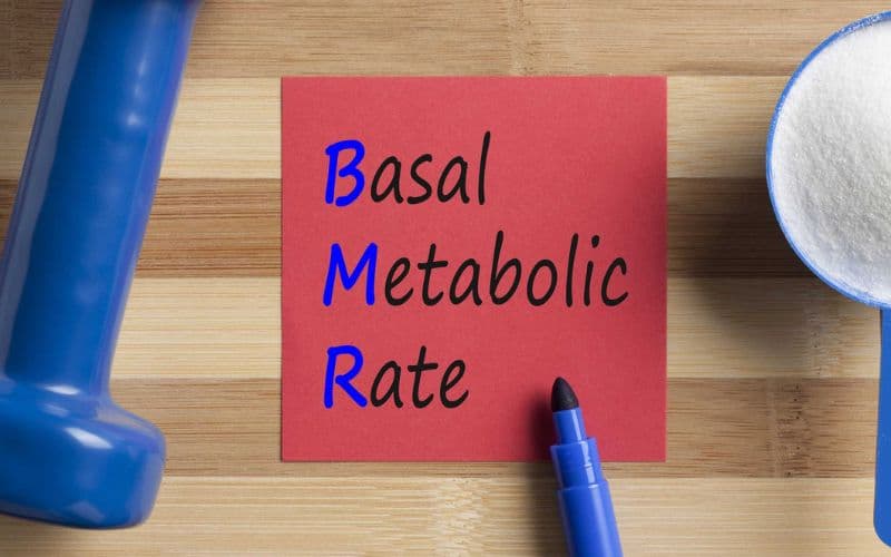 Chỉ số BMR