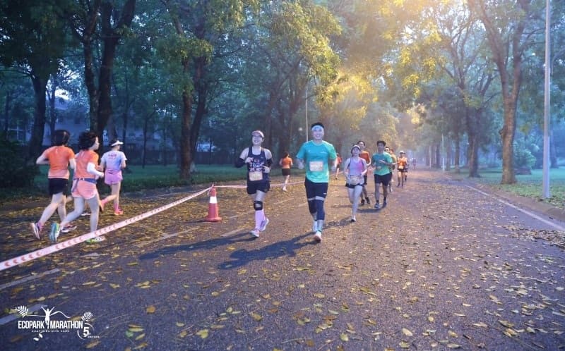 Tuy gặp bất lợi trên đường chạy nhưng tình trạng chấn thương đã giảm đáng kể so với các giải chạy khác. 