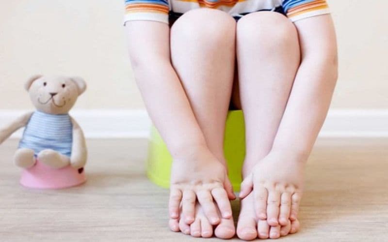 Men vi sinh có lợi cho hệ tiêu hóa 