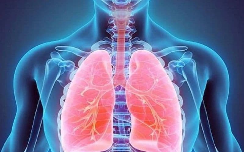 Chạy bộ giúp phổi hoạt động tốt hơn