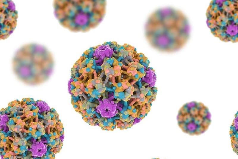 Virus HPV ghây ung thư cổ tử cung rất dễ lây lan từ người qua người
