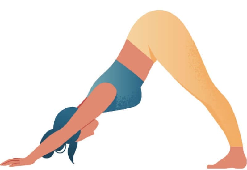 Tư thế yoga chó úp mặt xuống (Adho Mukha Svanasana) cho người mới bắt đầu