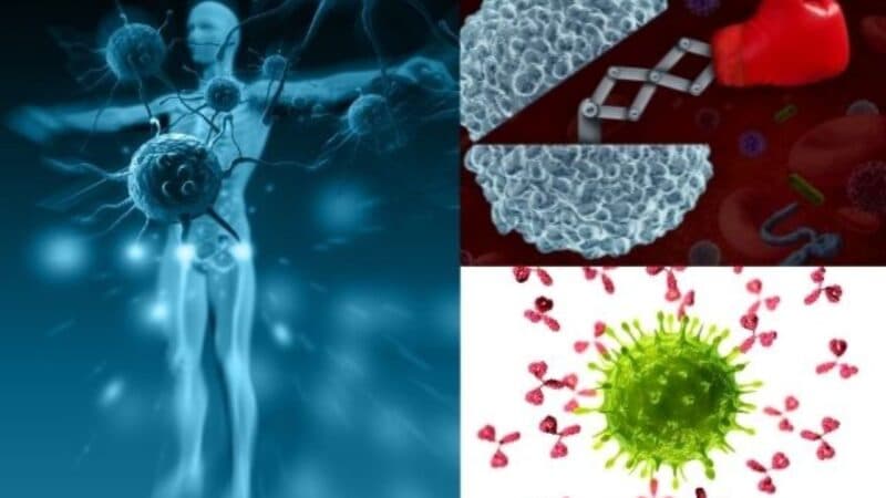 Prednison 5mg thường được sử dụng trong các trường hợp liên quan đến dị ứng, viêm nhiễm và ức chế miễn dịch