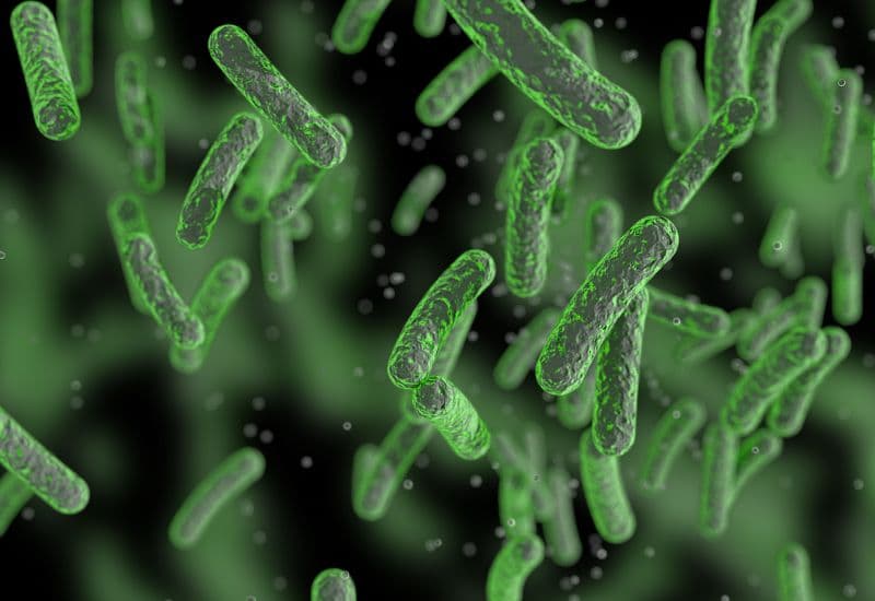 Virus là nguyên nhân phổ biến nhất gây bệnh viêm tai giữa ở trẻ em.