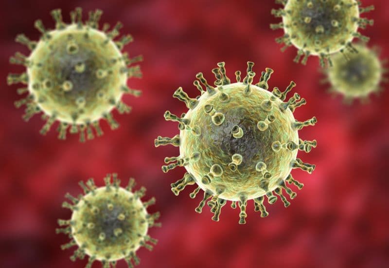 Virus varicella-zoster không chỉ gây thủy đậu mà còn gây zona thần kinh.