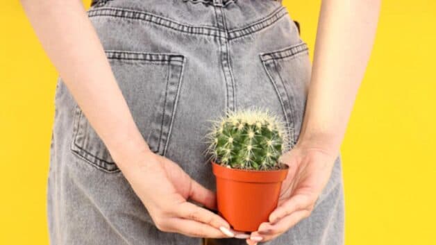 Chữa trị bệnh trĩ: bệnh trĩ là căn bệnh gây ra nhiều đau đớn phiền toái cho bệnh nhân